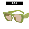 Square retro brand sunglasses, European style, 2022 collection, internet celebrity