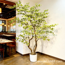 ��Ʒ���溣�u�������辰�پGֲ���� ���޼Ҿ��b��ú��u��������