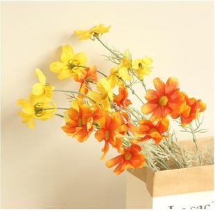 �Wʽ��˹����ɫ�ϹϺ��}�����SɫС���r���n��껨��c�ٻ���ֻ/