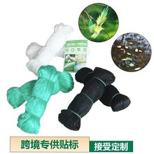 跨境网园林网果园防鸟网聚乙烯防鸟网挤出防鸟网葡萄防绿色防鸟网