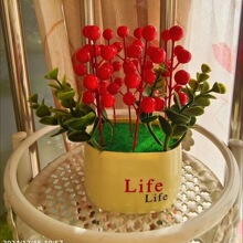 �t���lؔ��lifeƿ�b�ƽ��ϲ�����w��ϲ�c��ˇ�����b�ˇ