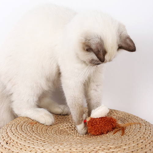 Plush Feather Tail Electronic Sound Bird Wholesale Simulation Meowing Cat Toy Pet Supplies Interactive