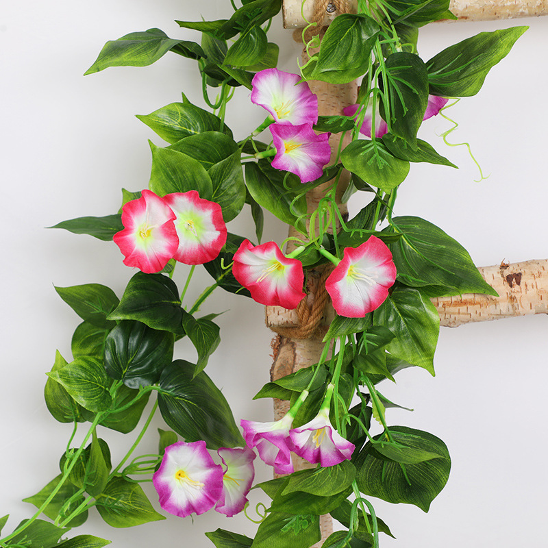 Simulated morning glory, morning glory, plastic flower, artificial flower, rattan, air-conditioning pipe blocking, decorative vines entwining green plants