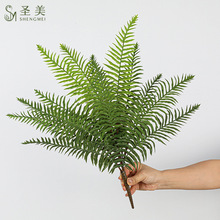 ާ14~̖ާGֲcbݼپGֲﲨ˹Iާ