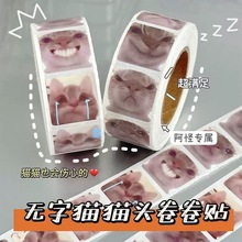 发疯猫咪卷卷贴可爱贴纸网红小猫趣味搞笑表情包搞怪装饰笔记本