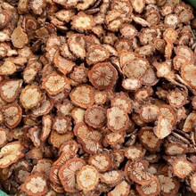 �t����ș�ļt��Ƭ1ǧ�˴�Ѫ�ٴ�Ѫͨ�t��Ѫͨ