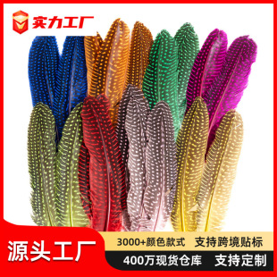 �S�����l�����u�C����c��ë��؈����ɫ���cҰ�uë����b���