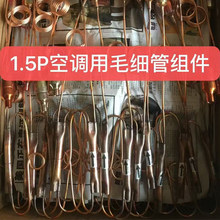 1-5P���{ë���ܽM�������y�^�V�������M��2P3P���{ͨ�����ë����