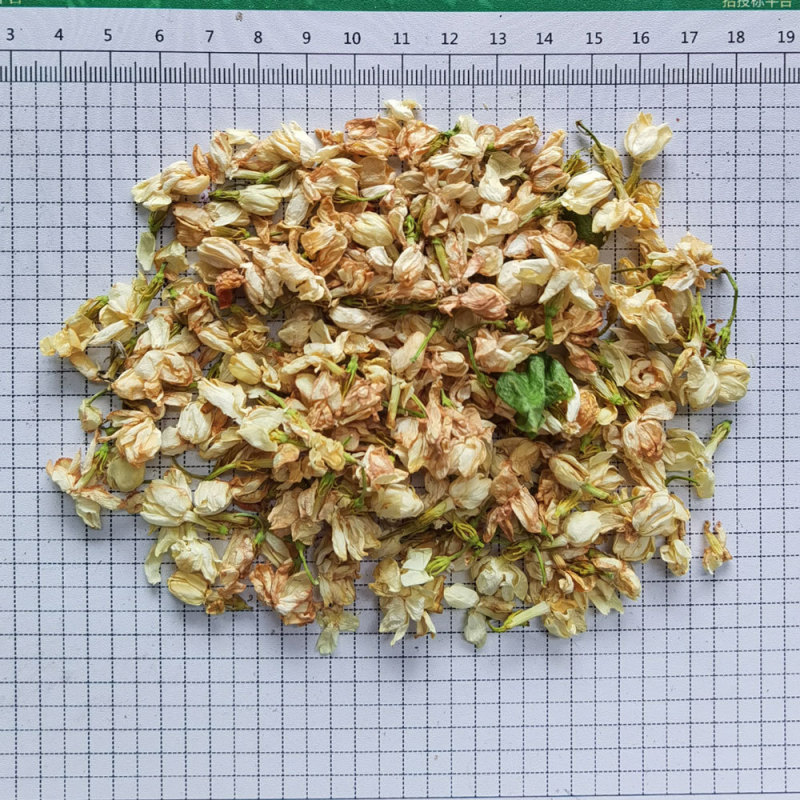 批发广西横县茉莉花干花散装500g 新货茉莉花茶叶 花草茶茉莉花干|undefined