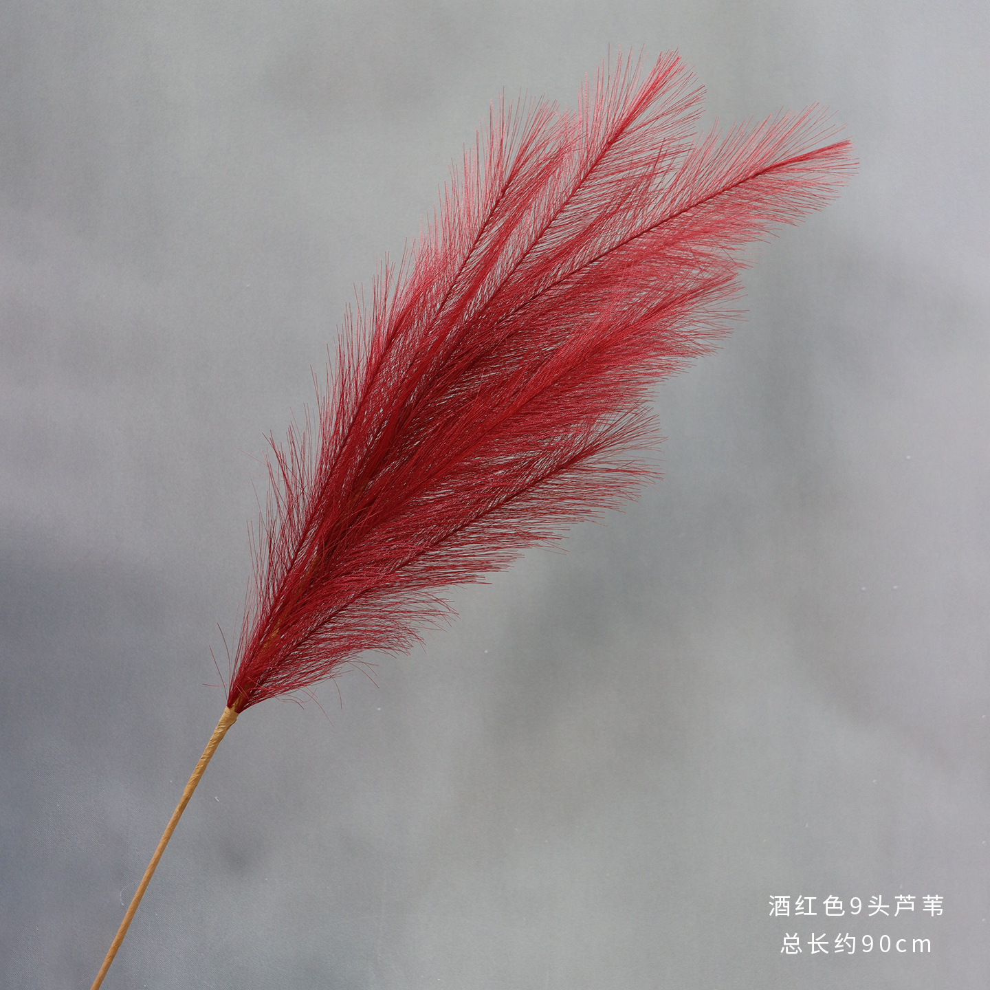 와인색 9두 갈대 10송이