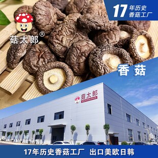 ���X��С�㹽��؛2-2.5cm���㹽������׵��Ģ���������؂䰸