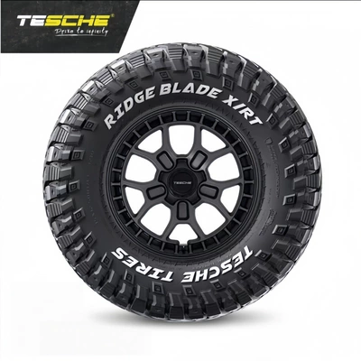 and Durable Car Tires, Yolsuzluq şinləri