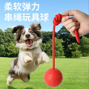New Cross-border Pet Molar Toy Elastic Solid Belt Picking Ball Training Fun Self-relief Bite Dog Products