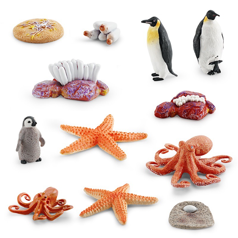 Simulación transfronteriza modelo de ciclo de crecimiento animal marino pulpo pingüino estrella de mar crecimiento transformación proceso decoración juguete