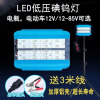 Super bright led low pressure 12V Iodine tungsten lamp Night market Stall 12-85V Battery Electric vehicle currency Low-voltage lights