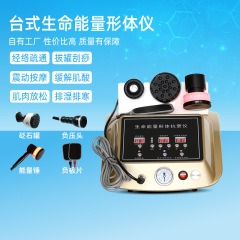 生命エネルギー体形計DDS生物電気経絡電気治療器養生理学療法スーツケースは訪問サービスができます。