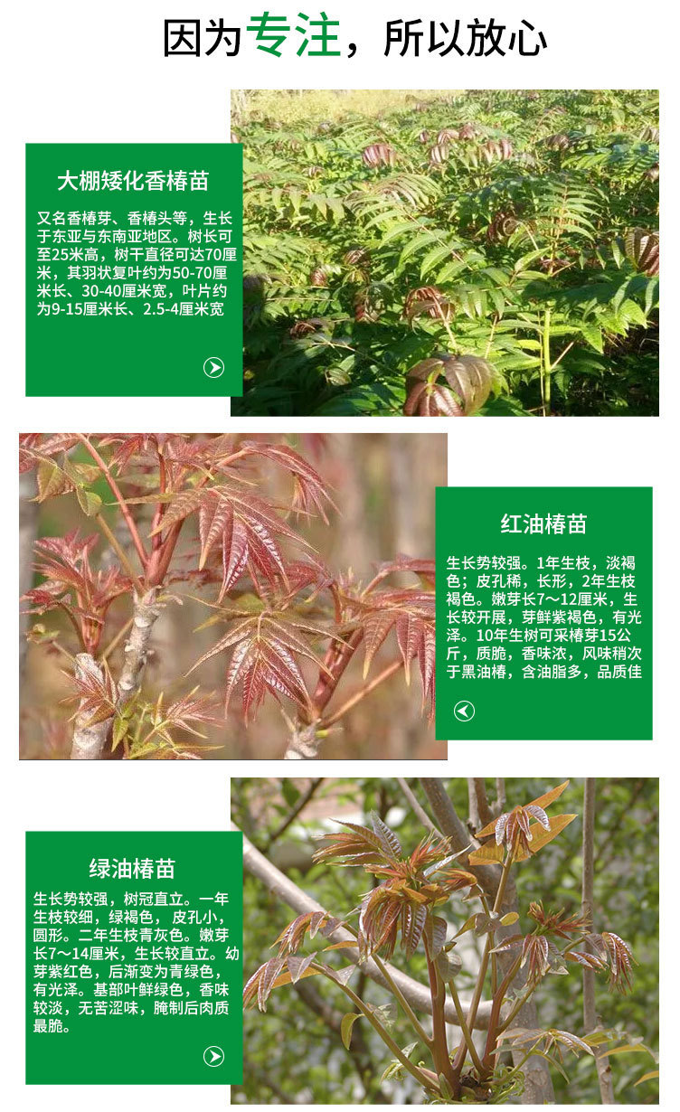 O1CN01ExWJwb2CJ4Kg8DEKd_!!2970