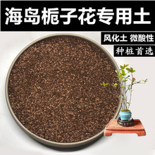 ���u�d�ӻ����L�����w�����t�������辰���L��ʯ������������