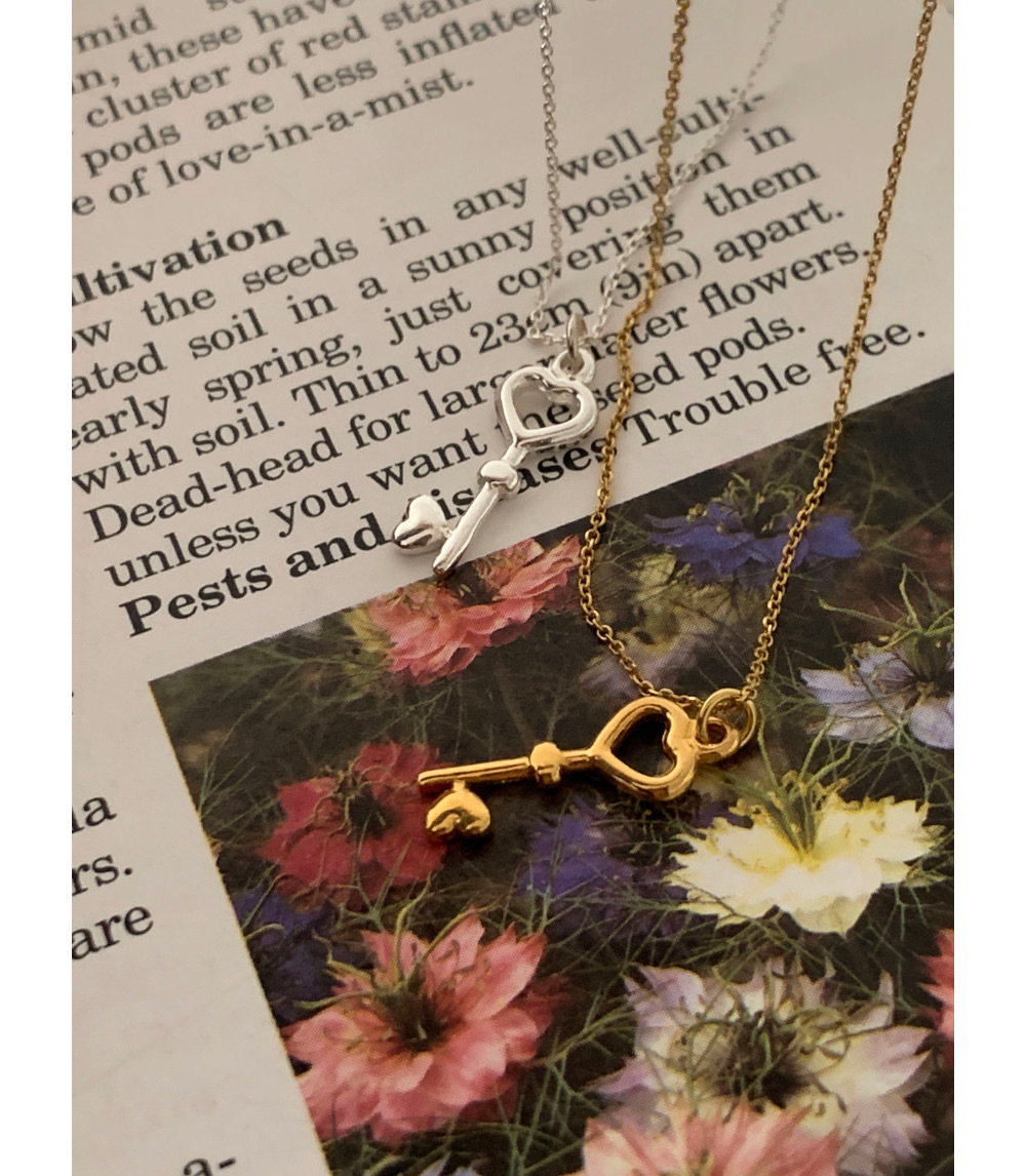 Plata De Ley 925 Cadena Portacables Enchapado Ahuecar Forma De Corazón Llave Collar Colgante display picture 2