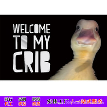 跨境外贸亚马逊背景布制作旗帜出口挂毯temu电商批发歪头鸭