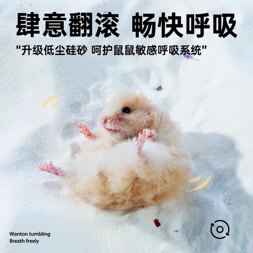 yee hamster bath sand urine sand set golden bear bath sand deodorization low dust toilet bath urine sand hamster supplies