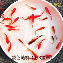 �^�p�~��ˮ�~�t���\���ͻ���B����~�ݽ��~���~���B��ݽ��~���w