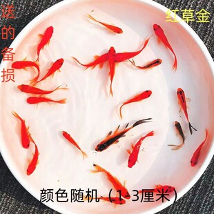 �^�p�~��ˮ�~�t���\���ͻ���B����~�ݽ��~���~���B��ݽ��~���w