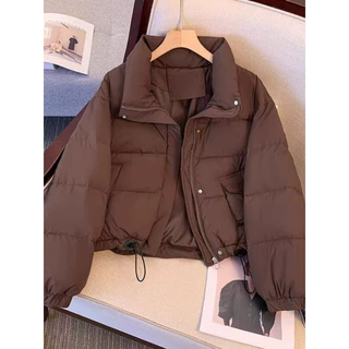 年冬季新款时尚短款休闲棉衣外套女韩版色立领棉服棉袄
