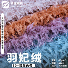 现货供应 羽妃绒羽毛长毛流苏面料 童装工艺品化纤毛绒网布料仙女