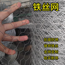 �S��ֱ�l�ɶ����F�z�W�����Bֳ���o���ڲˈ@Ȧ�����ǔQ���W�F�z�W