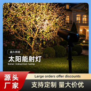 �羳�}�Q�����̫���ϴ����ͥԺ���@�Fˇ�b��X�ƾ��^���ز��