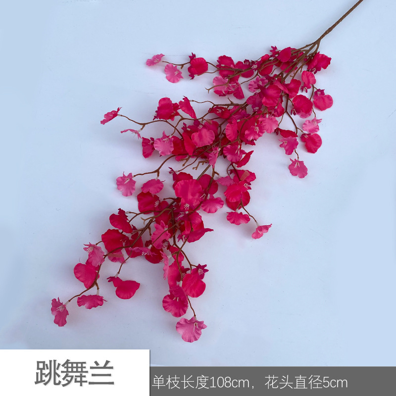 댄싱 오키드 JLK 로즈 레드