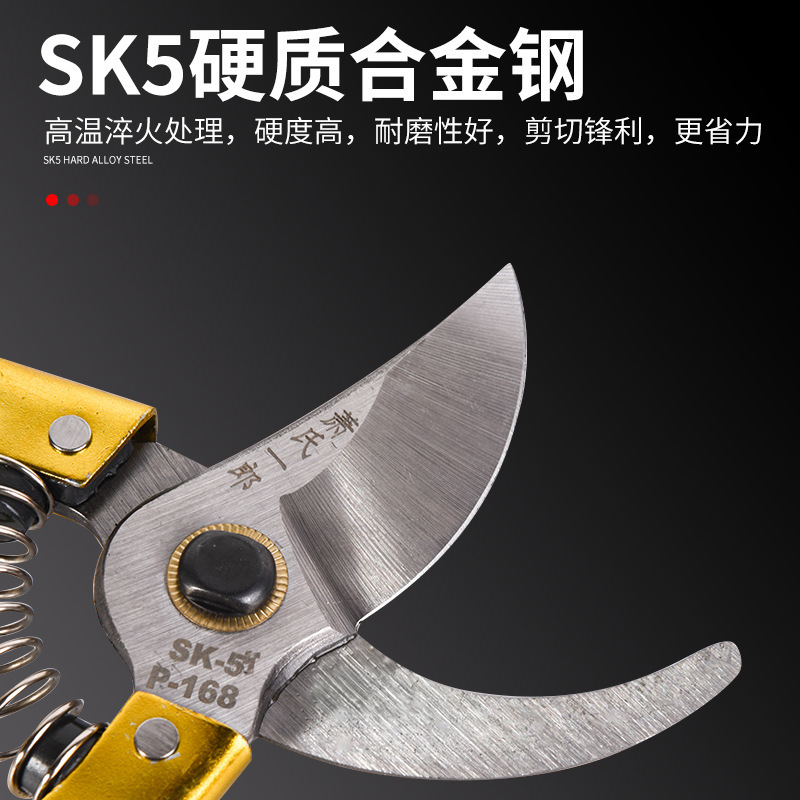 園林果枝ハサミsk5家庭用園芸園林省力修枝剪定花家庭用多機能摘果ハサミ|undefined