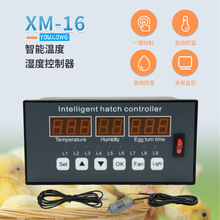 ȫԄӜ؝ȿ؝x_Prg{ݔ@