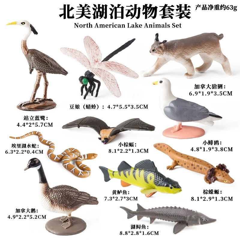 Cognitive realistic marine animal model, dinosaur, toy