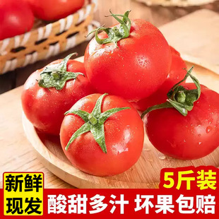 ���_��˹ɳȿ���t��5�ﮔ�����rˮ����Ʒ�N�����Է���¶����Ȼ��