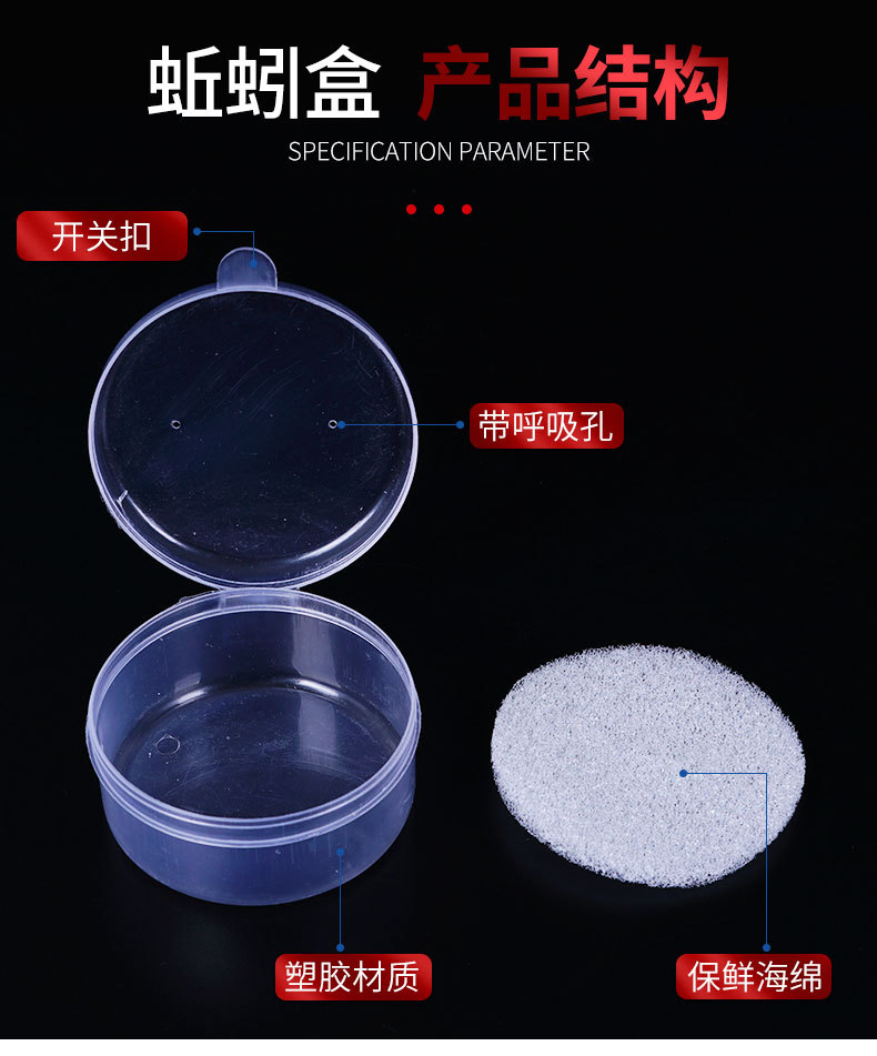 31_04.jpg