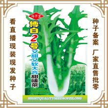 冯子龙种苗公司直售批零种植蔬菜种子博白2号又软又甜大合甜唛菜