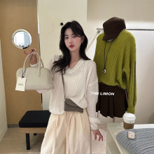 ��}���˓Q 2025�＾����㼑��L�ӗl�U��V�I�L�����^ë��Ů