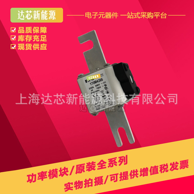 170M4758 170M4759 170M4760 170M4761 170M4762 170M4763熔断器