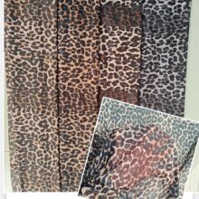 �¿�~�������ܛ�H�w40D�찱�W���Q�y���yӡ�� �������������
