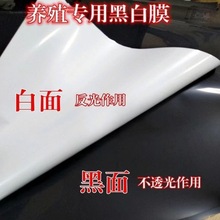 �Bֳ���úڰ�Ĥ�r���߲˷Nֲ����Ĥ PE POĤ�ڰ�Ĥ���w����Ĥ