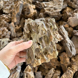 石雕;喷泉水景;景观雕塑