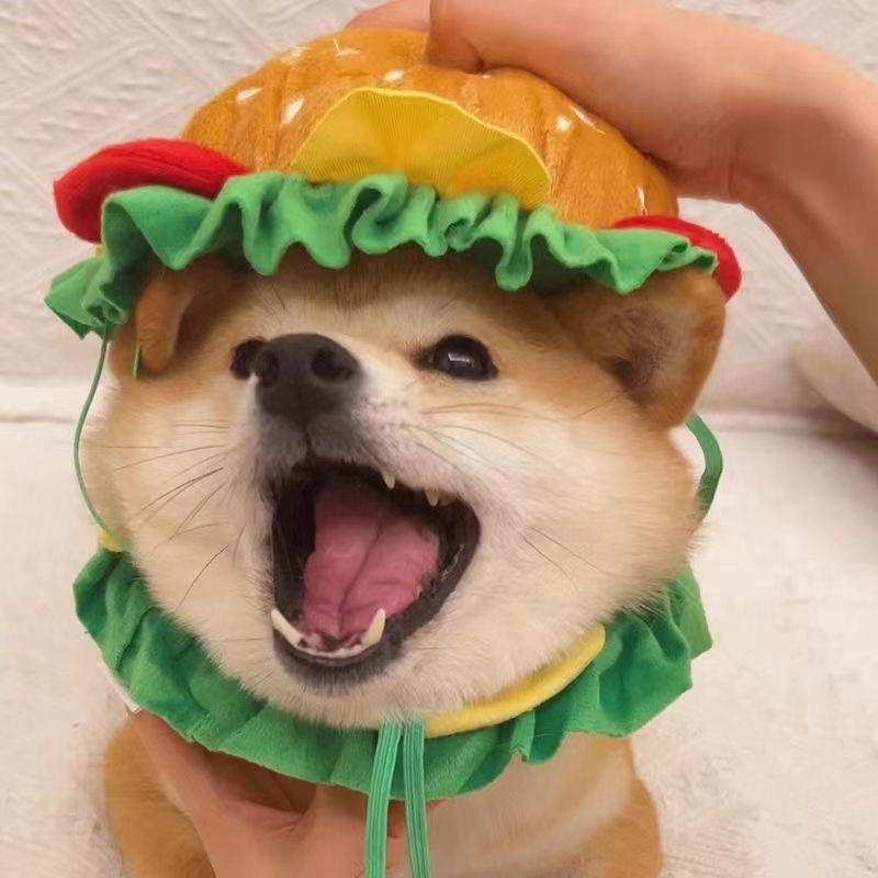 宠物狗狗比熊泰迪网红头套可爱变装小猪帽子猫咪可爱拍照头饰秋冬|undefined