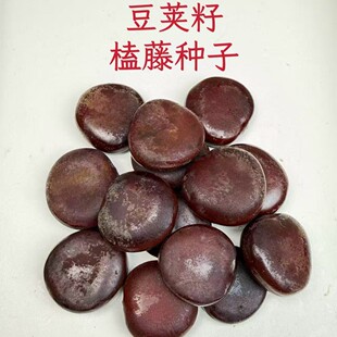 ���l��Ȼ�}�ٷN���^�����ѬF؛����ľ����ƽ����diyԭ���ϬF؛