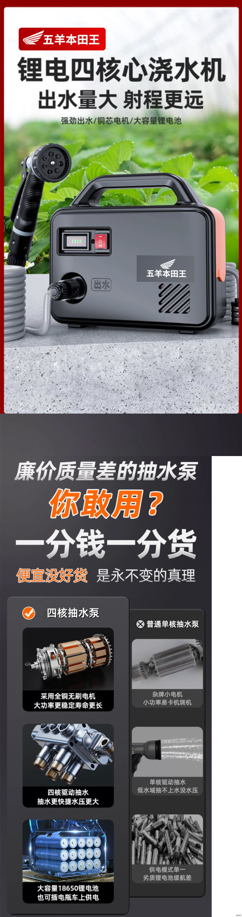 1000b7c9-376b-4b00-bd6d-0eae668d77cd.jpe
