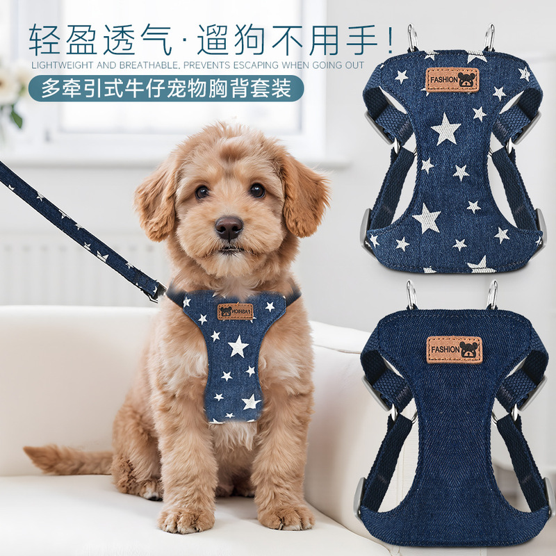 Dog Vest-Style Leash Harness Set for Teddy, Bichon, Small and Medium-Sized Dogs, Pet Harness, Multifunctional Bichon Dog Harness