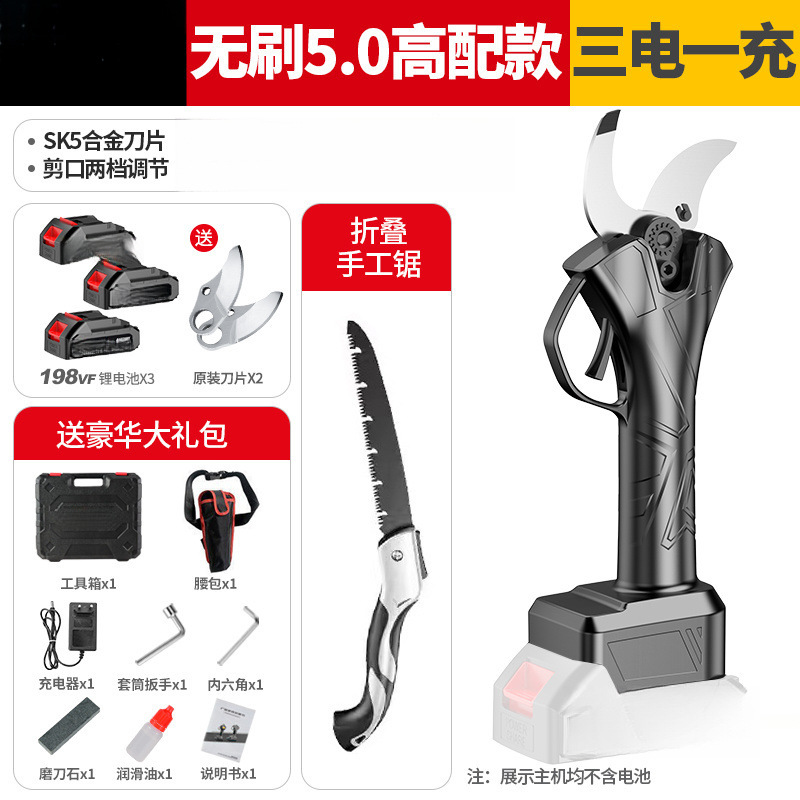 Sanden 고급형 S5.0 브러시리스 모델 + 손톱 - 독일 브랜드 Sentu 공식 정통 CCTV 방송