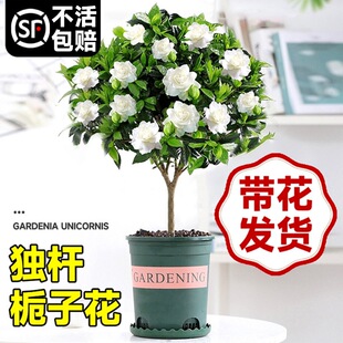 ���U�d�ӻ������������ļ��_����ֲ���҃��⎧�����Ϙ�Φ�ӻ�����