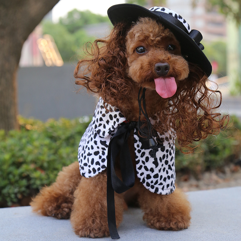 Costume di halloween per cani con mantello e cappello accessori_voghion.com